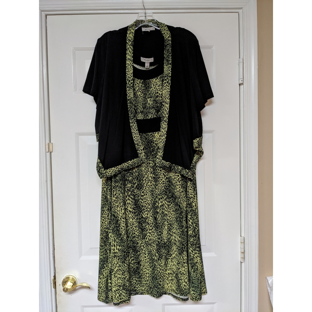 Dress Barn Dress and Jacket Set